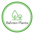 Bahrainplants.com